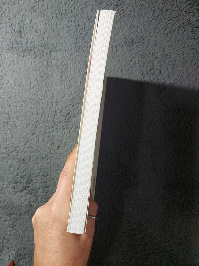 Régimen jurídico de protección de la discapacidad por enfermedad mental