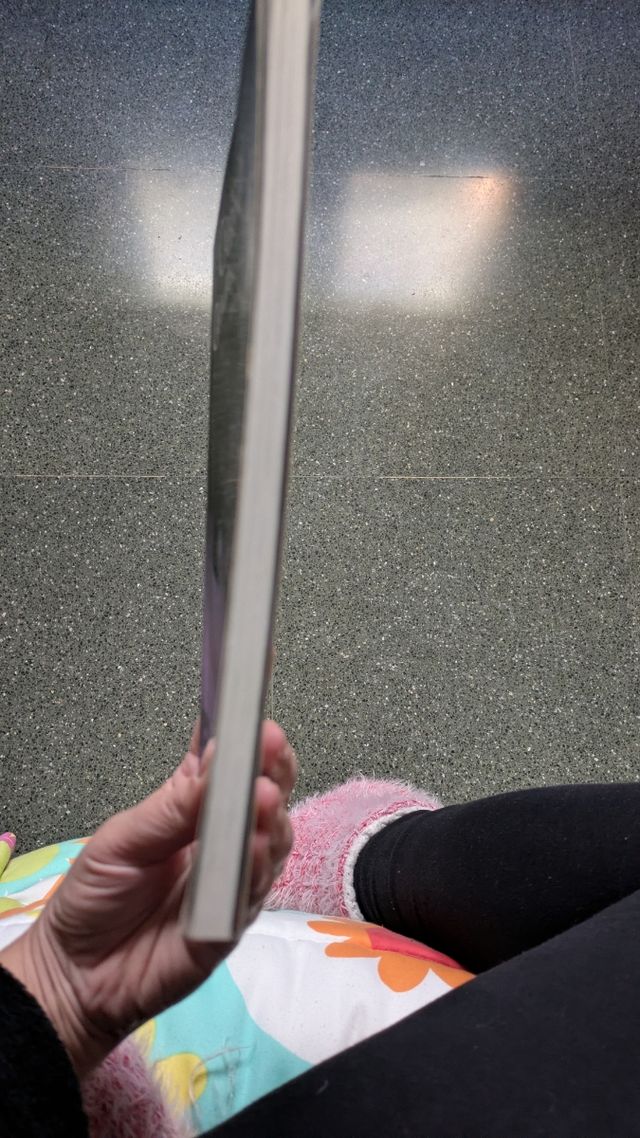 COURTNEY CRUMRIN 1. Y LAS CRIATURAS DE LA NOCHE