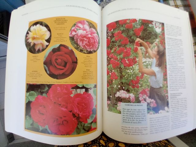 Gran atlas de la jardineria. REBAJADO! CHOLLO!