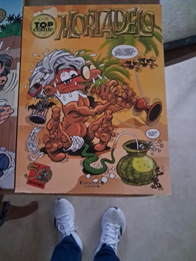Mortadelo y Filemón. El tesorero (Magos del Humor 167)