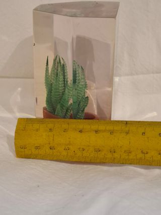 Pisapapeles metacritalo