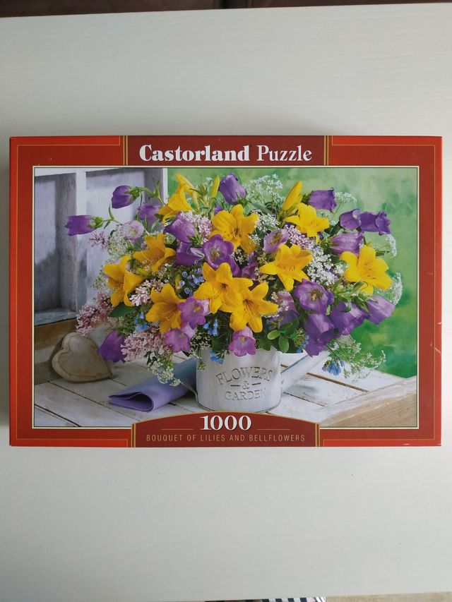 Puzzle 1000 piezas Castorland