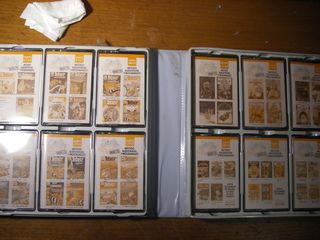 Asterix y Tintin en inglés