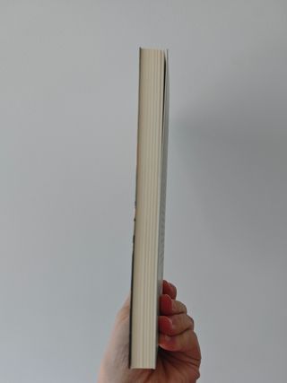 Miren y el romanticismo de Ramón Saizarbitoria