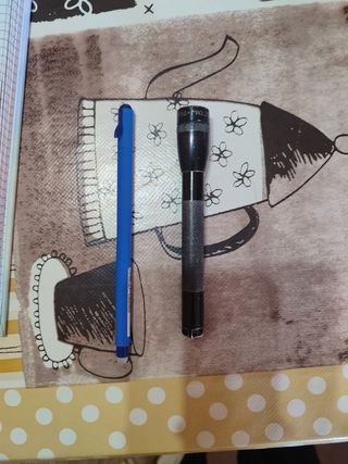 Torcia Mag lite +1 regalo