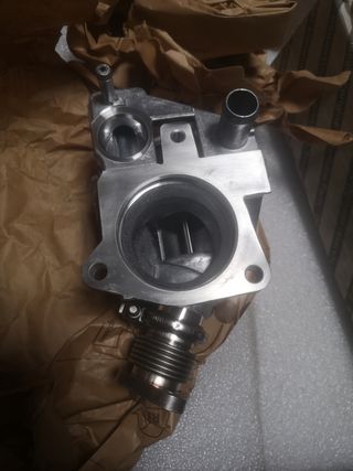 Valvula EGR Varios modelos