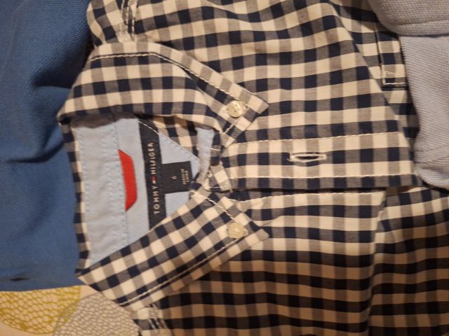Camisas u blusa tommy niño