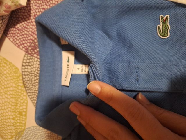 Camisas u blusa tommy niño