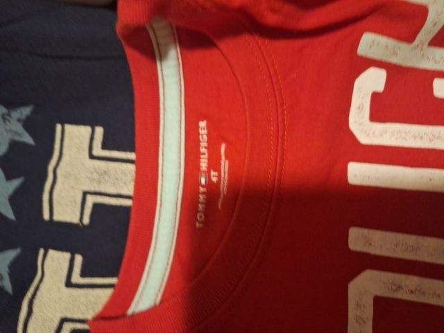 Camisas u blusa tommy niño