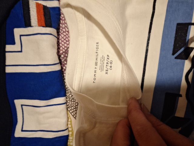 Camisas u blusa tommy niño