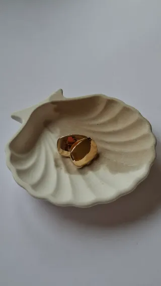 Concha do mar cimento