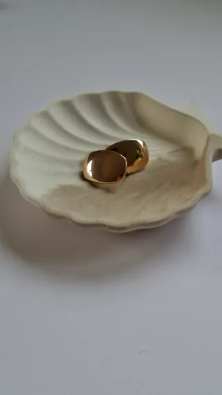 Concha do mar cimento