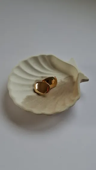 Concha do mar cimento