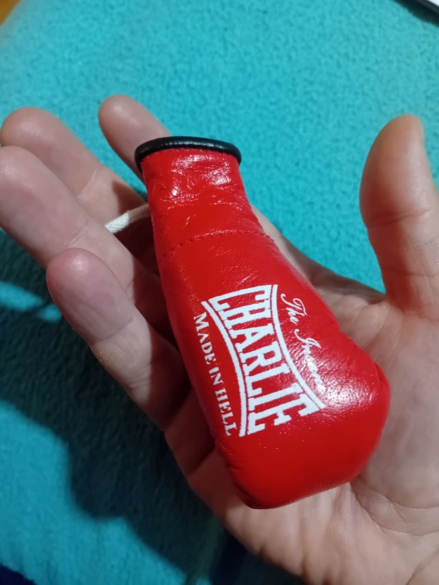 Guante de boxeo para coche charlie