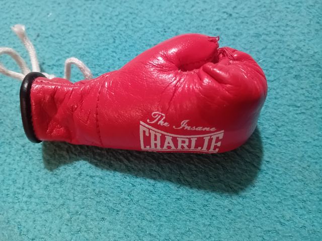 Guante de boxeo para coche charlie
