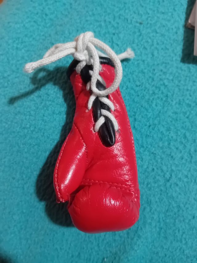 Guante de boxeo para coche charlie