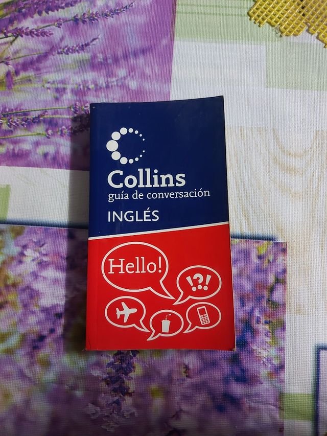 Guia de Conversacion Ingles (Spanish Edition)