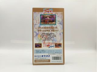 Street Fighter 2 The New Challengers Super Famicom