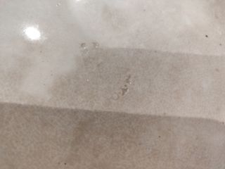 Fuente antigua de La Cartuja de Sevilla Pickman