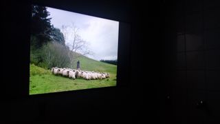 Profesor Inglés (intensivos)