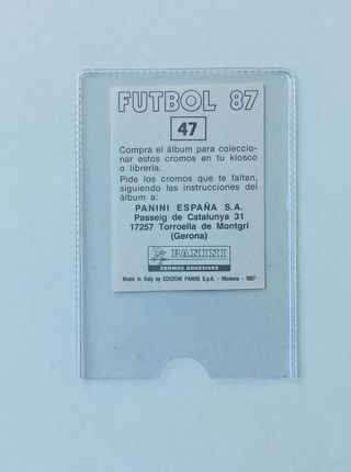 ROBERTO FERNANDEZ 47 FUTBOL 87 PANINI BA