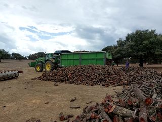 LEÑA DE ENCINA SECA de 30cm a 0,14 €/Kg para 3000
