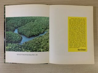 Libro vintage GIUNGLA - Mondadori ed. 1964