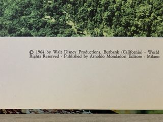 Libro vintage GIUNGLA - Mondadori ed. 1964