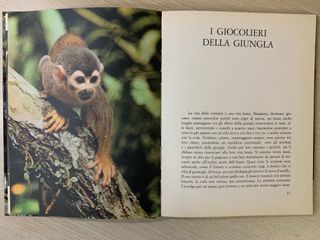 Libro vintage GIUNGLA - Mondadori ed. 1964