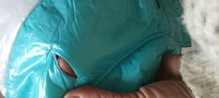 piumino per cani taglia s