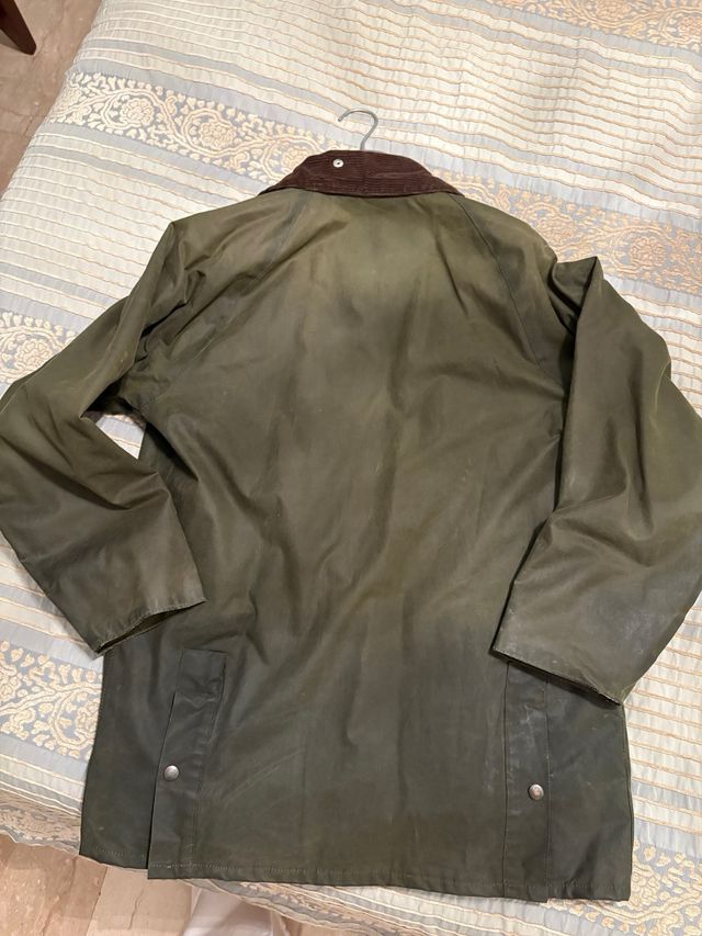 Barbour Lavenir verde
