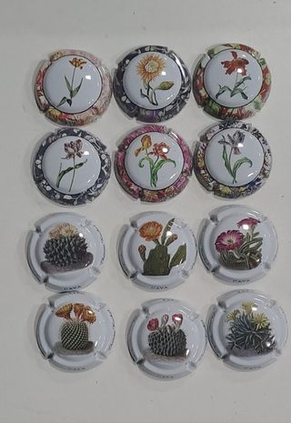 12 placas flores