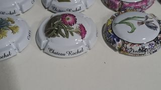 12 placas flores