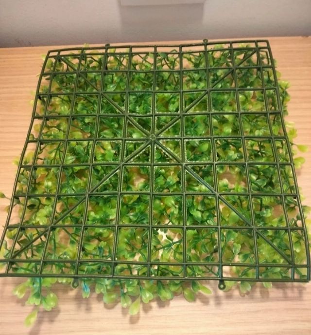 Incubadora acuario+ césped de cria