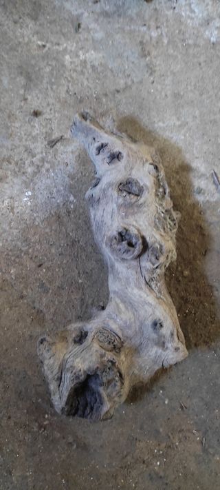 Accesorio para acuario