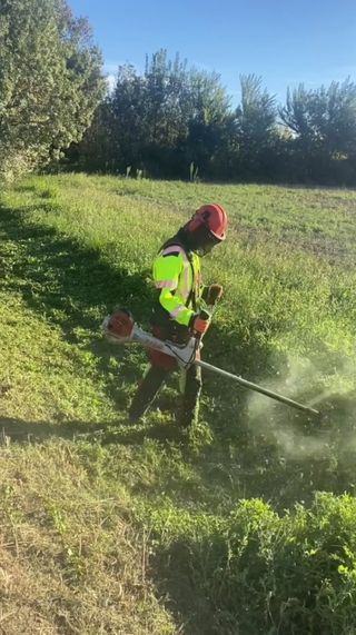 Limpieza de parcelas 