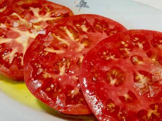 Semillas Tomate Aretxabaleta