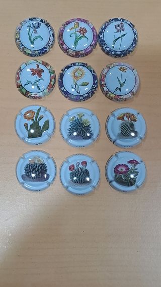 12 placas cava - flores