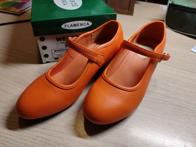Zapatos flamenca