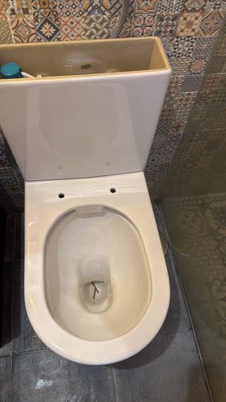 Te monto tu inodoro !
