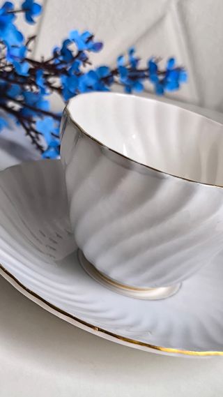 Preciosa taza y platillo porcelana inglesa