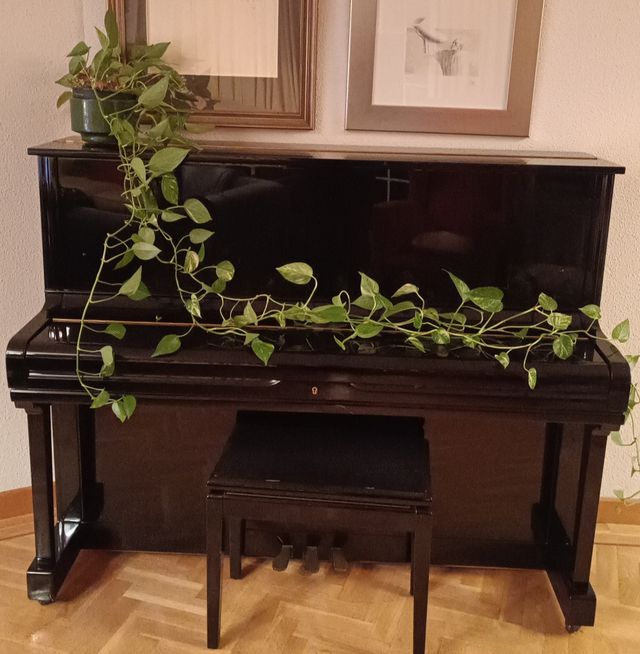 Piano de pared
