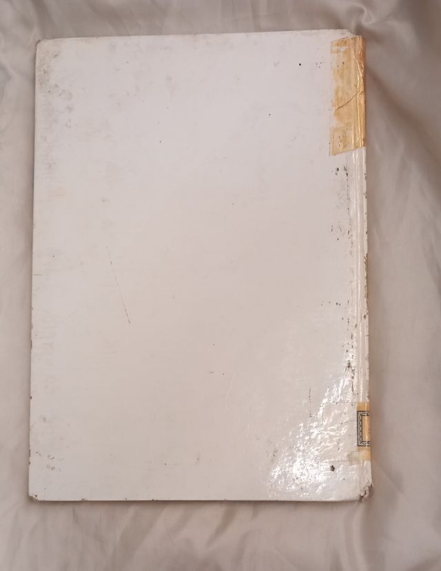 Cuento antiguo LADIS,UN GRAN PEQUEÑO años 60