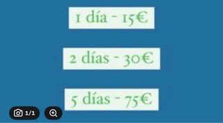 Cuidar perros