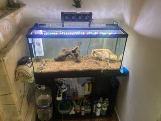 Acuario , pecera