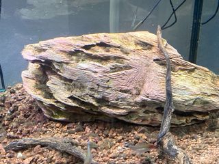Acuario , pecera