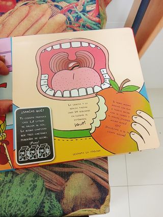 Mi primer libro de anatomía (Spanish Edition)