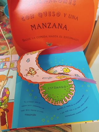 Mi primer libro de anatomía (Spanish Edition)