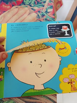 Mi primer libro de anatomía (Spanish Edition)