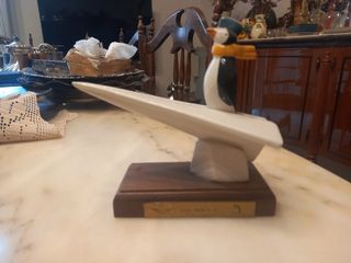 Pinguini accademia aeronautica